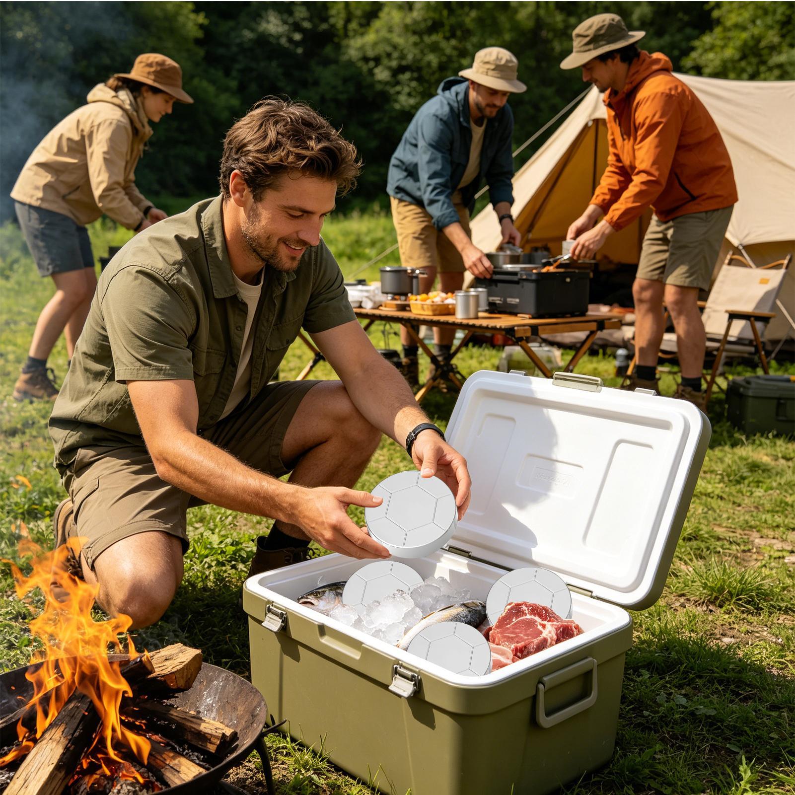 Edelstahl-Kühlbox mit Eispack, – Fishing Equipment For Beginners Bewertung und Preis